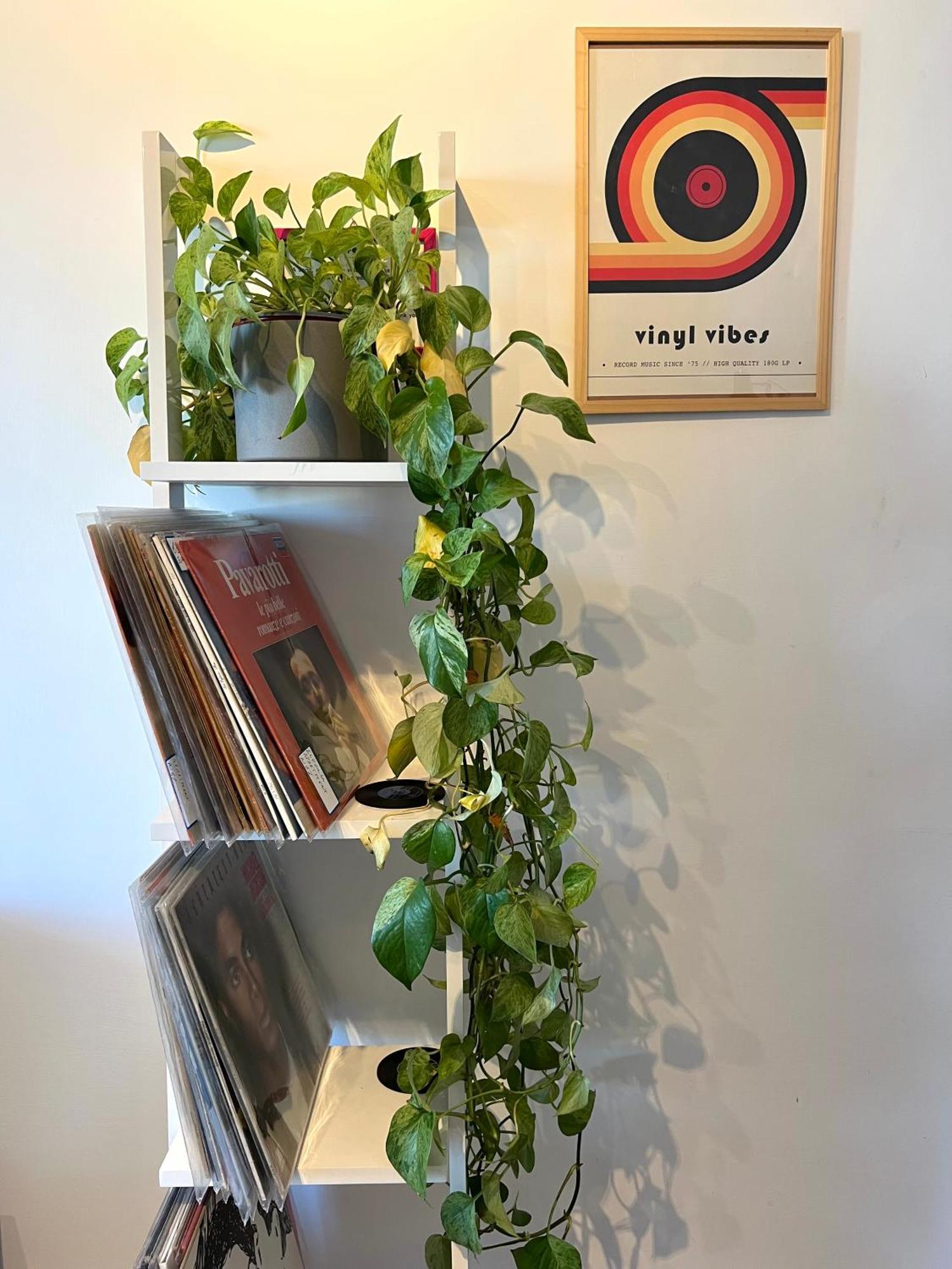 Eufonia Vinyl Friendly Apartment Рим Екстер'єр фото